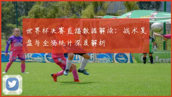 世界杯决赛直播数据解读：战术复盘与全场统计深度解析