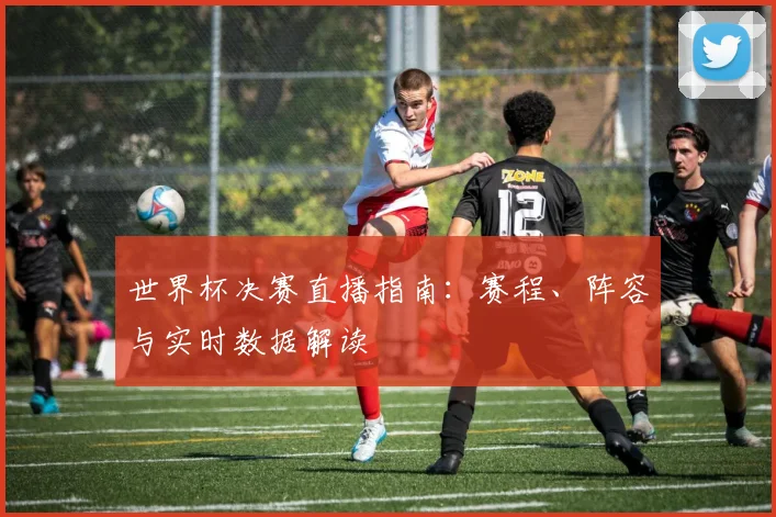 世界杯决赛直播指南：赛程、阵容与实时数据解读