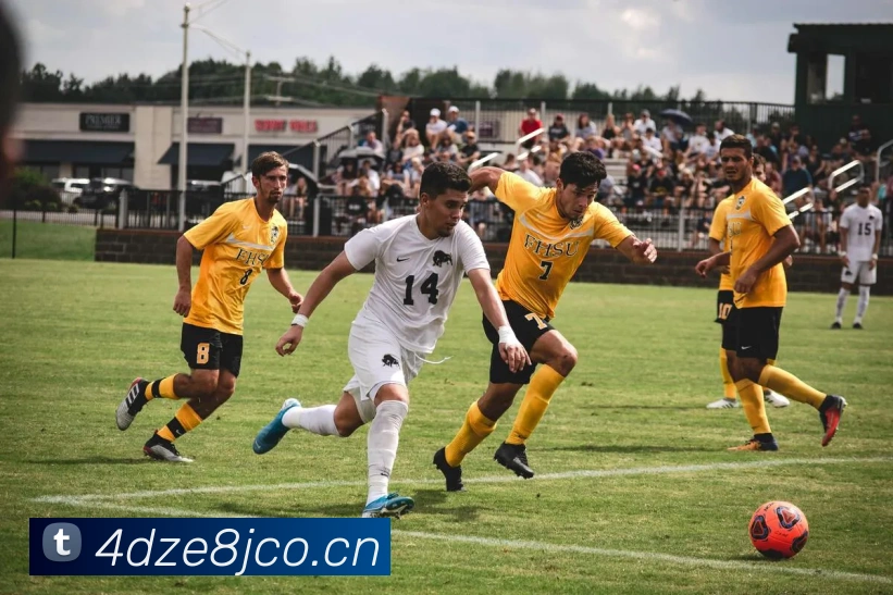 星空体育平台综合登录发展历程